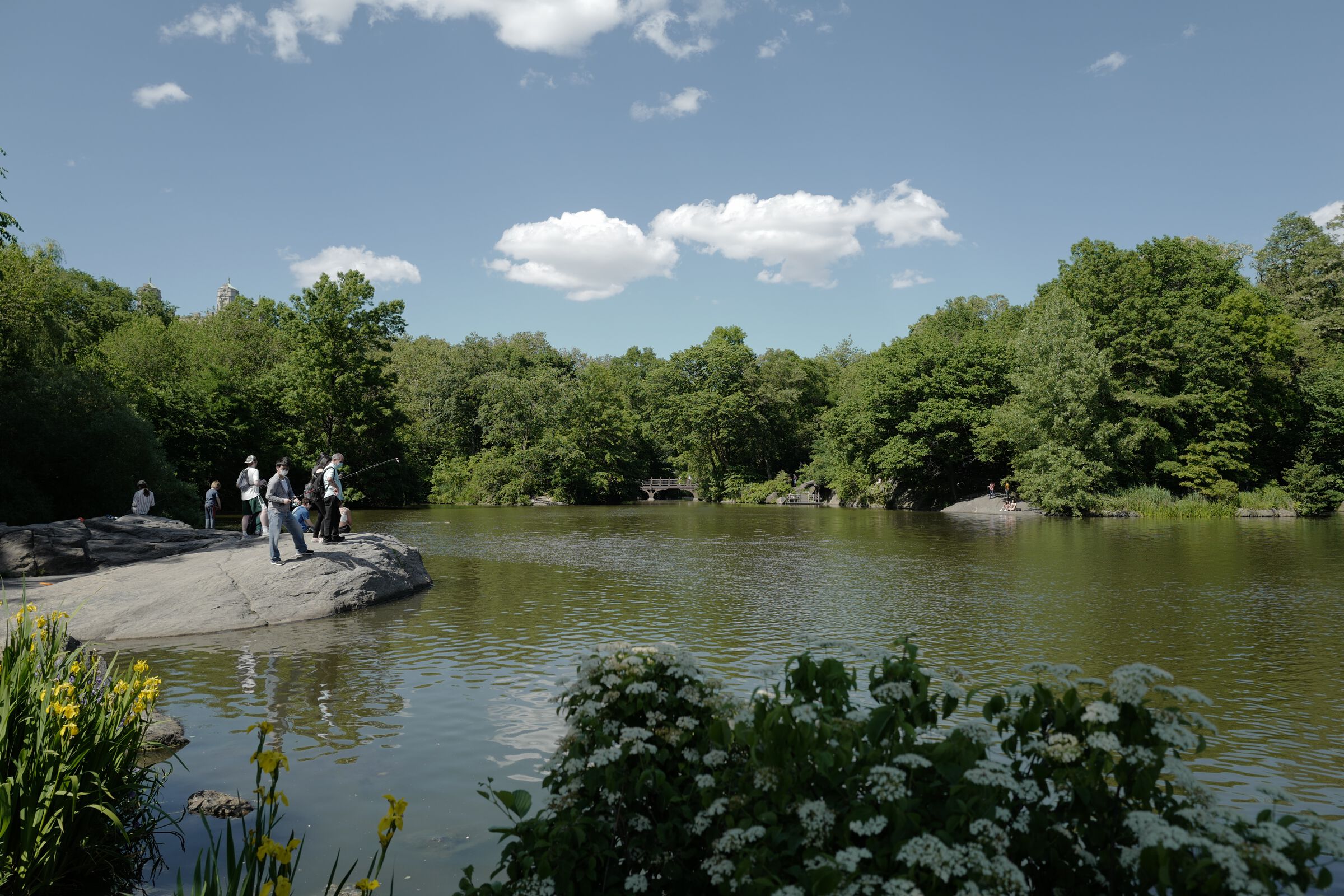 central park picnic 11