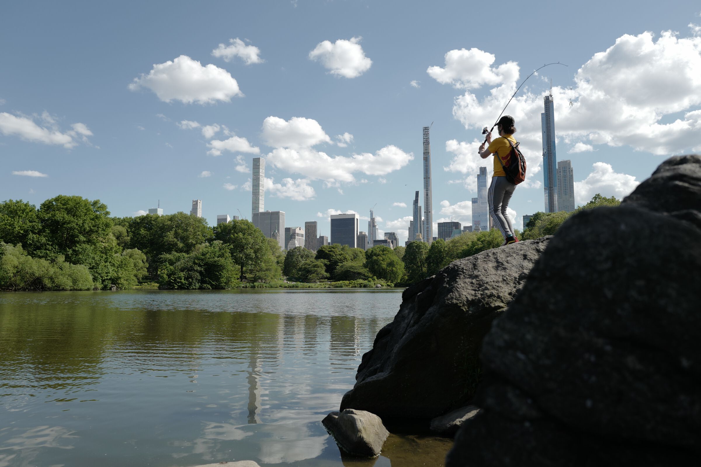 central park picnic 16