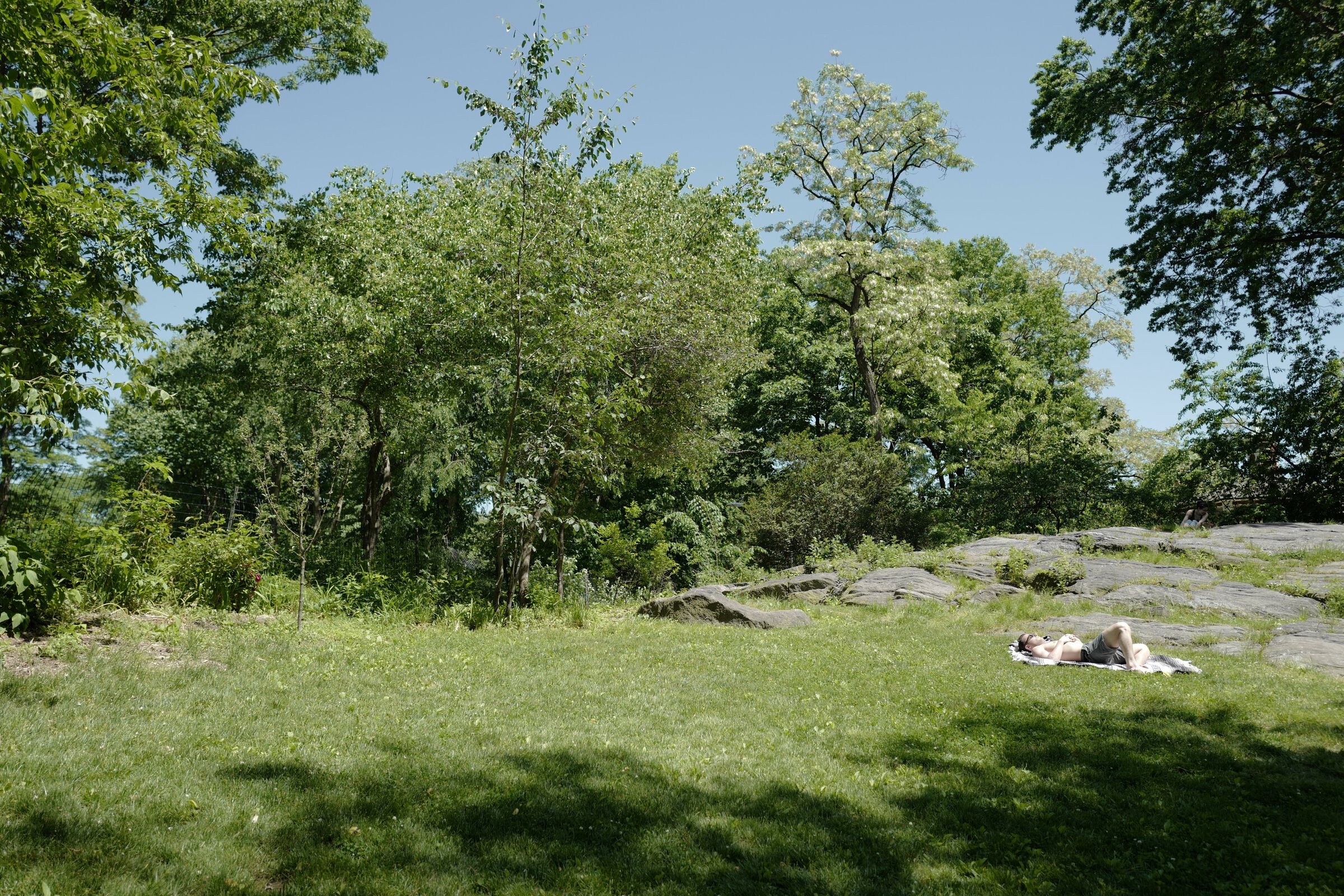 central park picnic 2