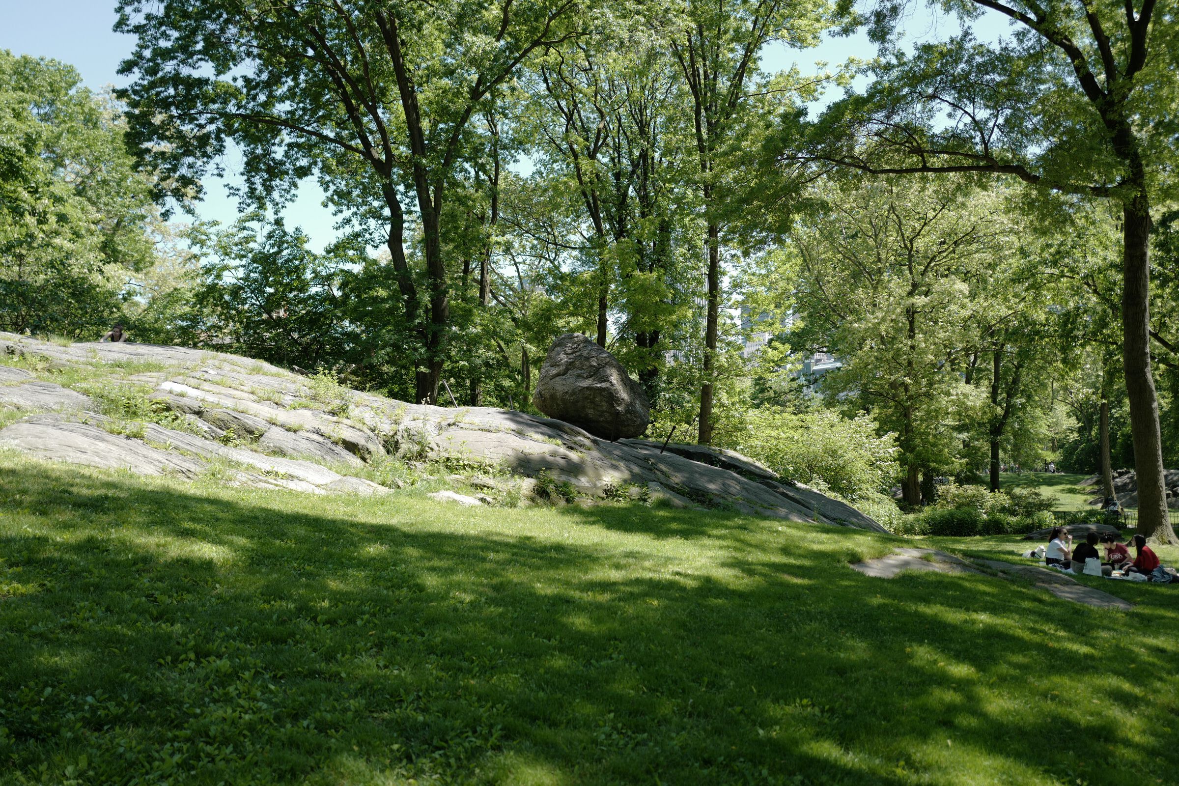 central park picnic 3