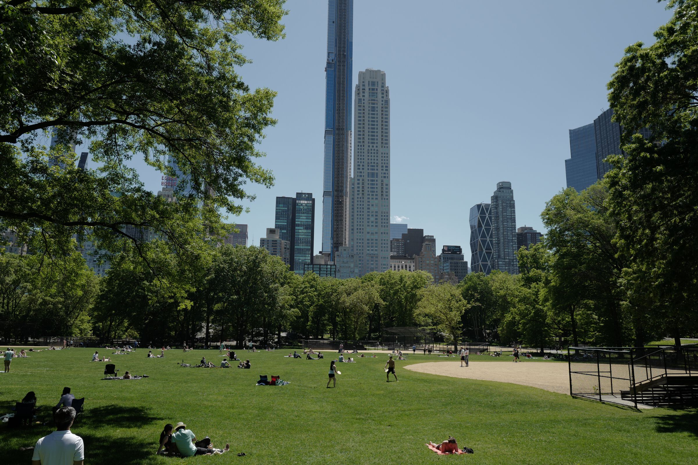 central park picnic 4