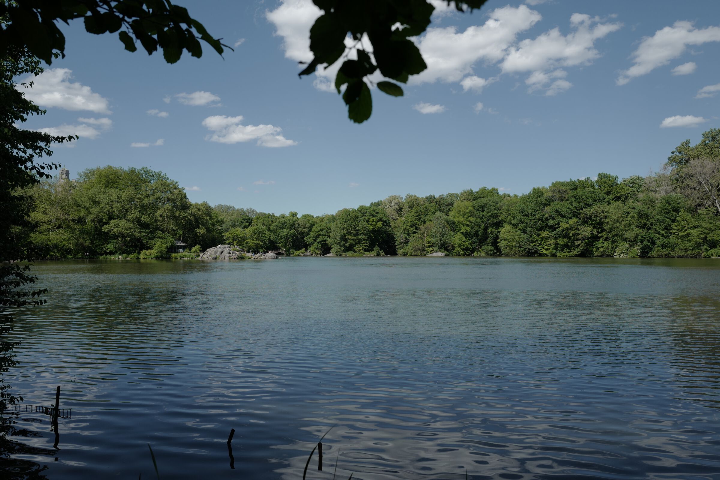 central park picnic 6