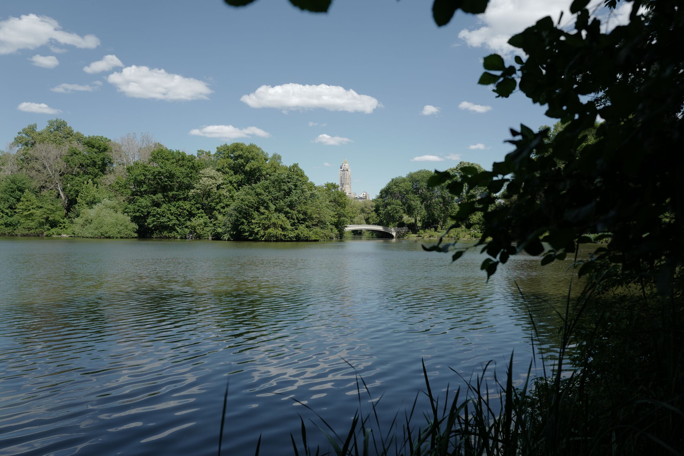 central park picnic 7